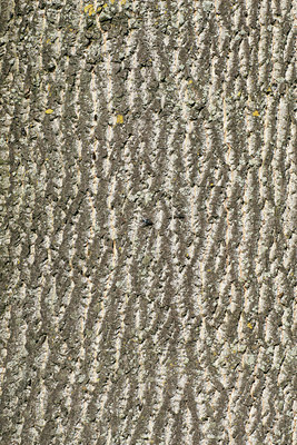 BUITEN BEELD Foto: 89749