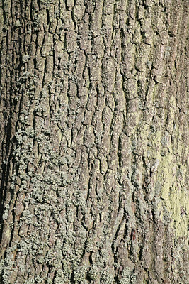 BUITEN BEELD Foto: 89753