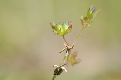 BUITEN BEELD Foto: 89767