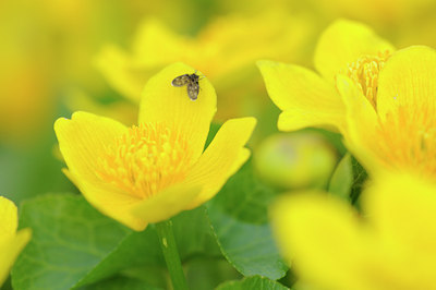 BUITEN BEELD Foto: 89768