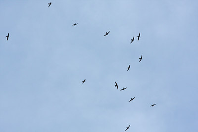 BUITEN BEELD Foto: 89783