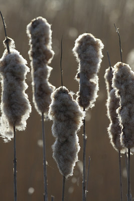 BUITEN BEELD Foto: 89786