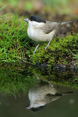 BUITEN BEELD Foto: 89791