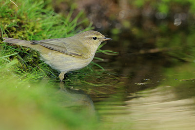 BUITEN BEELD Foto: 89795