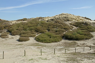 BUITEN BEELD Foto: 89814