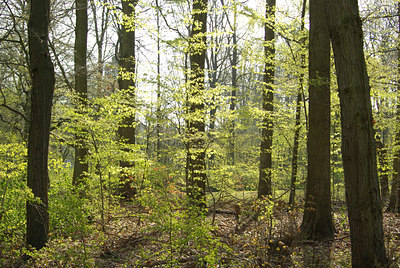 BUITEN BEELD Foto: 89830