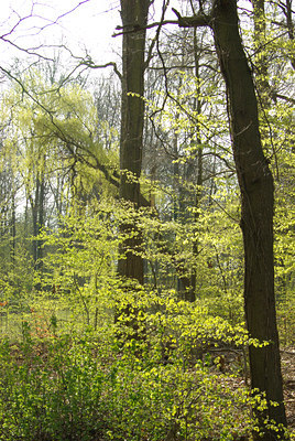 BUITEN BEELD Foto: 89833
