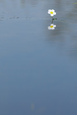 BUITEN BEELD Foto: 89846