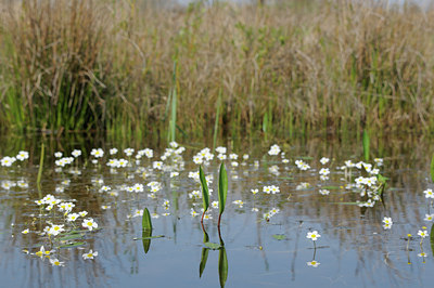 BUITEN BEELD Foto: 89847