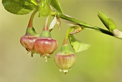 BUITEN BEELD Foto: 89865