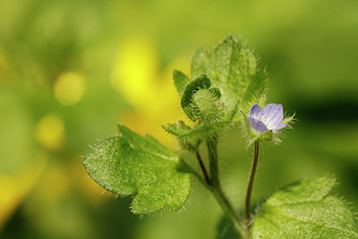 BUITEN BEELD Foto: 89878