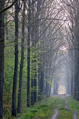 BUITEN BEELD Foto: 89897