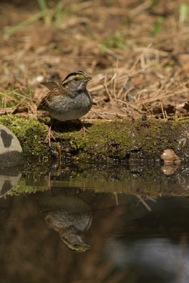 BUITEN BEELD Foto: 89936