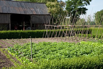 BUITEN BEELD Foto: 89963