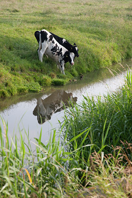 BUITEN BEELD Foto: 90012