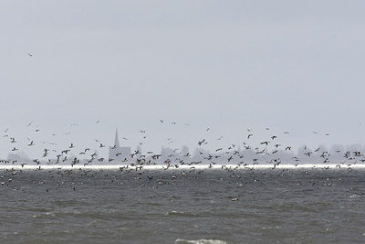 BUITEN BEELD Foto: 90033