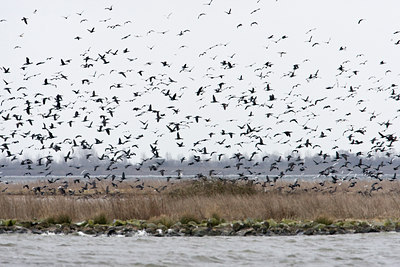 BUITEN BEELD Foto: 90035