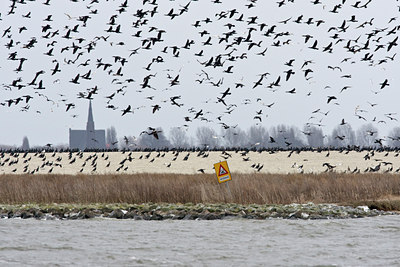 BUITEN BEELD Foto: 90036
