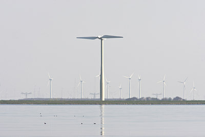 BUITEN BEELD Foto: 90039