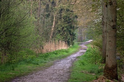 BUITEN BEELD Foto: 90077