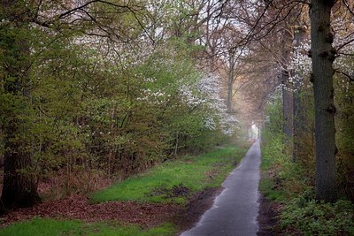 BUITEN BEELD Foto: 90079