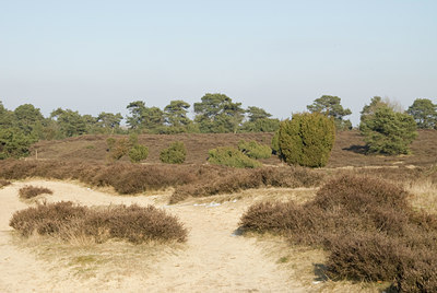 BUITEN BEELD Foto: 90146