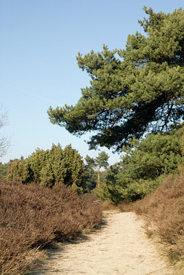 BUITEN BEELD Foto: 90151