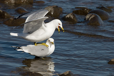 BUITEN BEELD Foto: 90154