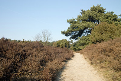 BUITEN BEELD Foto: 90159
