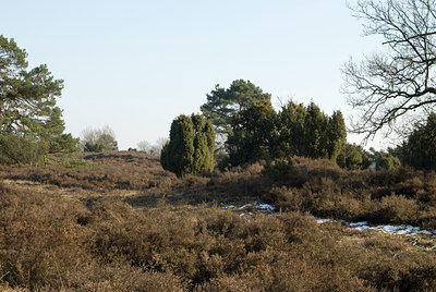 BUITEN BEELD Foto: 90161