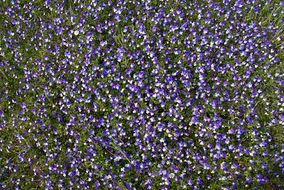 BUITEN BEELD Foto: 90208