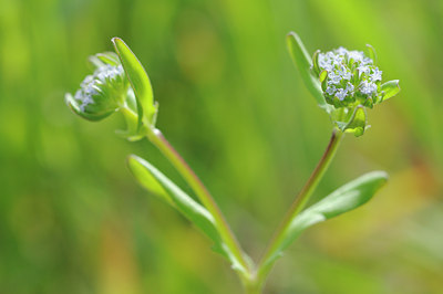 BUITEN BEELD Foto: 90222