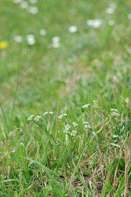 BUITEN BEELD Foto: 90225