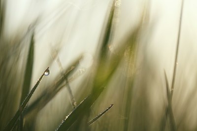 BUITEN BEELD Foto: 90280