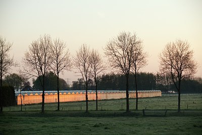 BUITEN BEELD Foto: 90284
