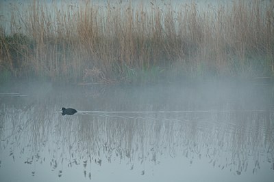 BUITEN BEELD Foto: 90293