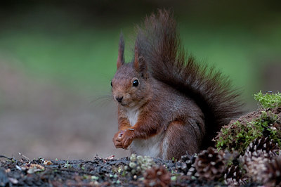 BUITEN BEELD Foto: 90307