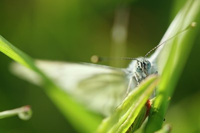 BUITEN BEELD Foto: 90316