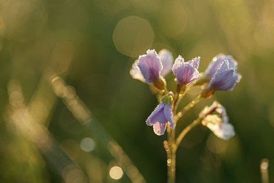 BUITEN BEELD Foto: 90328