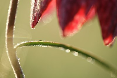 BUITEN BEELD Foto: 90336