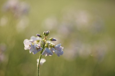 BUITEN BEELD Foto: 90346