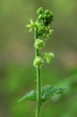 BUITEN BEELD Foto: 90366