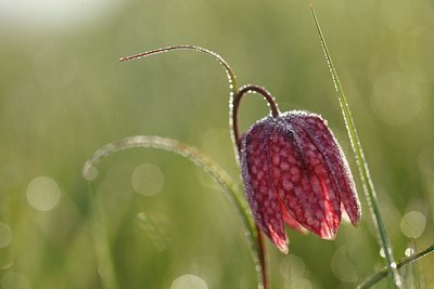 BUITEN BEELD Foto: 90371
