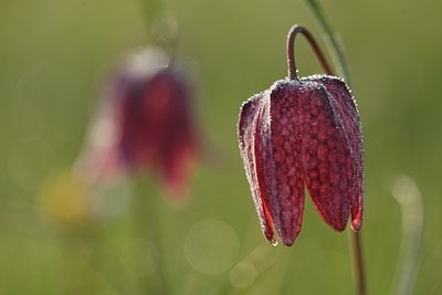 BUITEN BEELD Foto: 90374