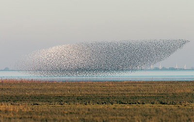 BUITEN BEELD Foto: 90386