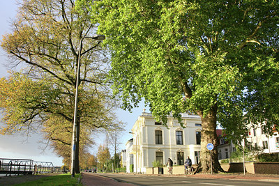 BUITEN BEELD Foto: 90395