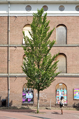 BUITEN BEELD Foto: 90406