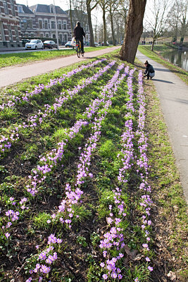 BUITEN BEELD Foto: 90408