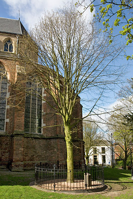 BUITEN BEELD Foto: 90411