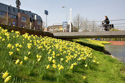 BUITEN BEELD Foto: 90412